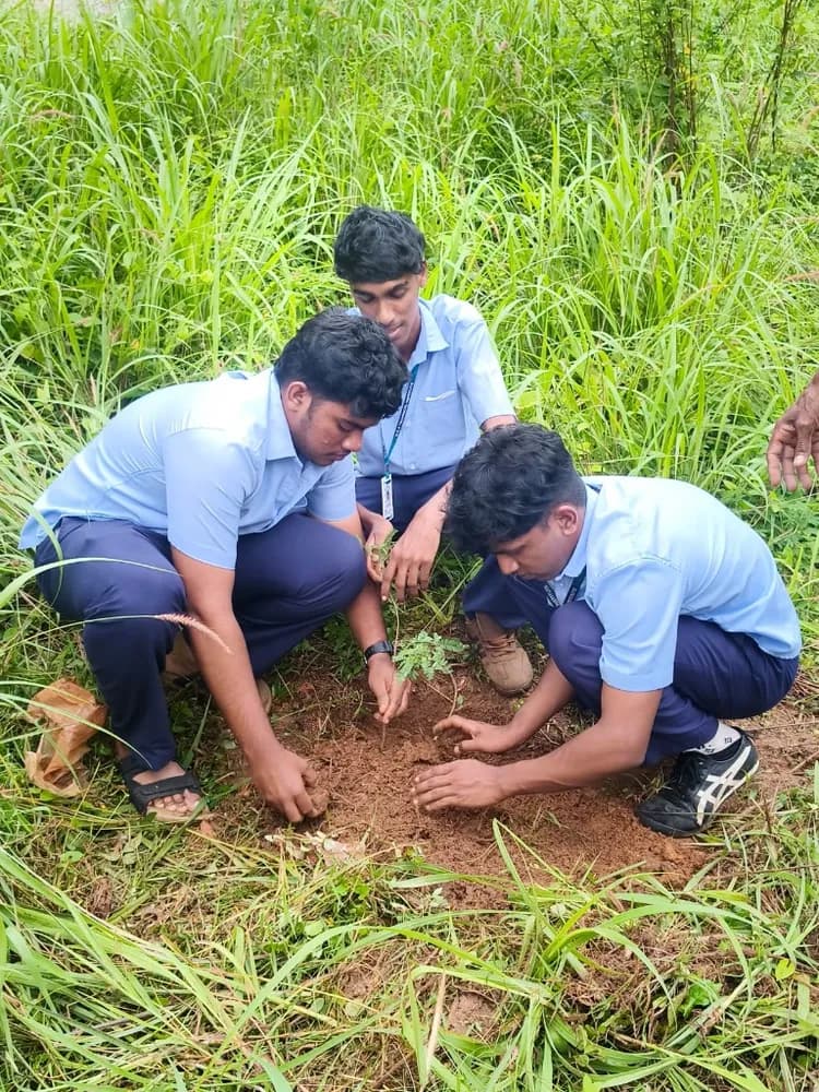 Environment Day